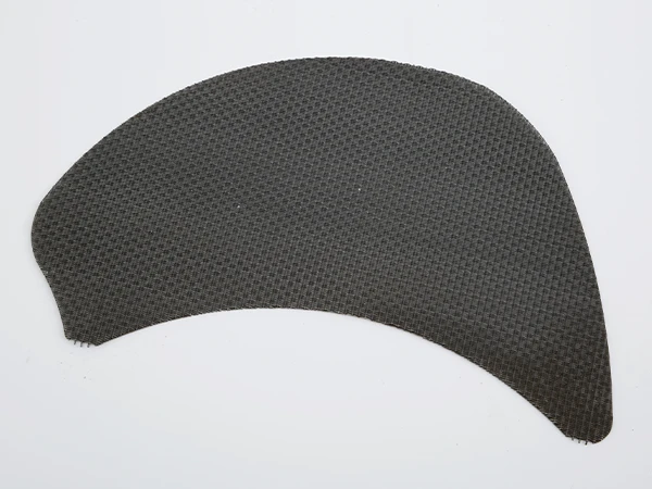 A kidney-shaped filter disc